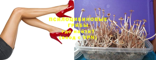 стафф Зеленокумск