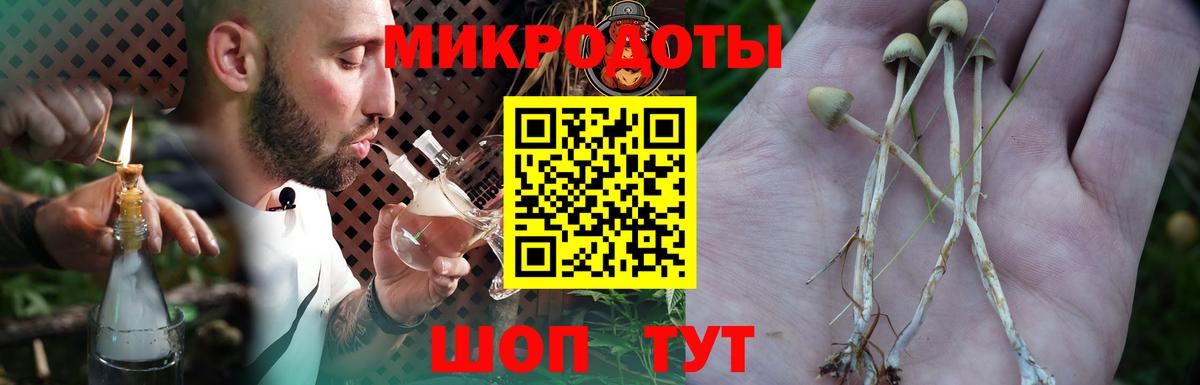 Галлюциногенные грибы прущие грибы Свободный
